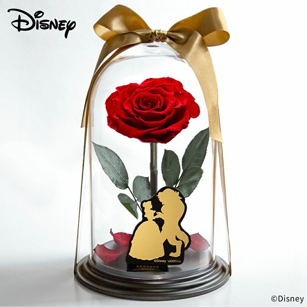 000000000543-01-m.jpg?t=