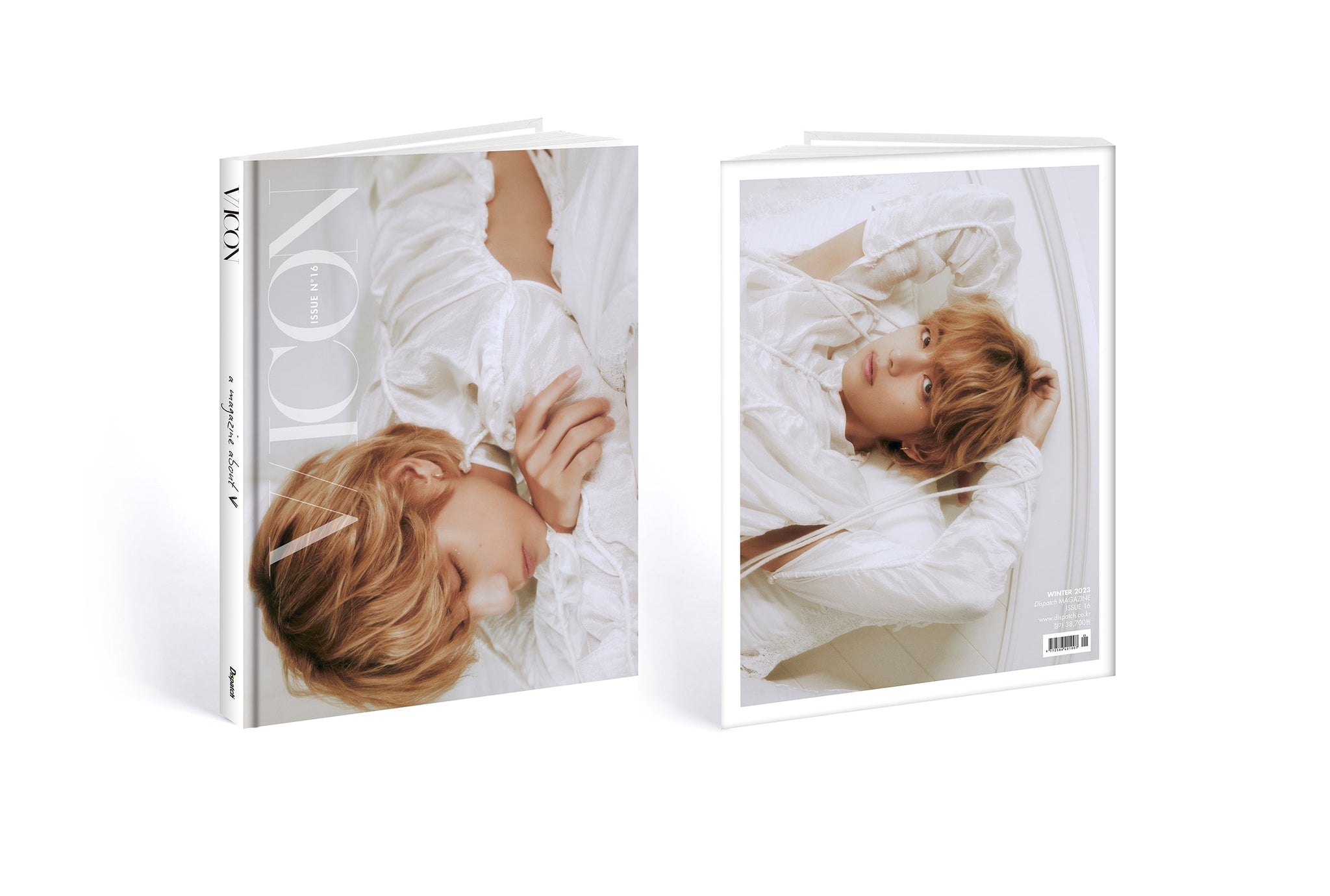 DICON ISSUE N°16 V : VICON 「a magazine about V」D-type – 光文社K