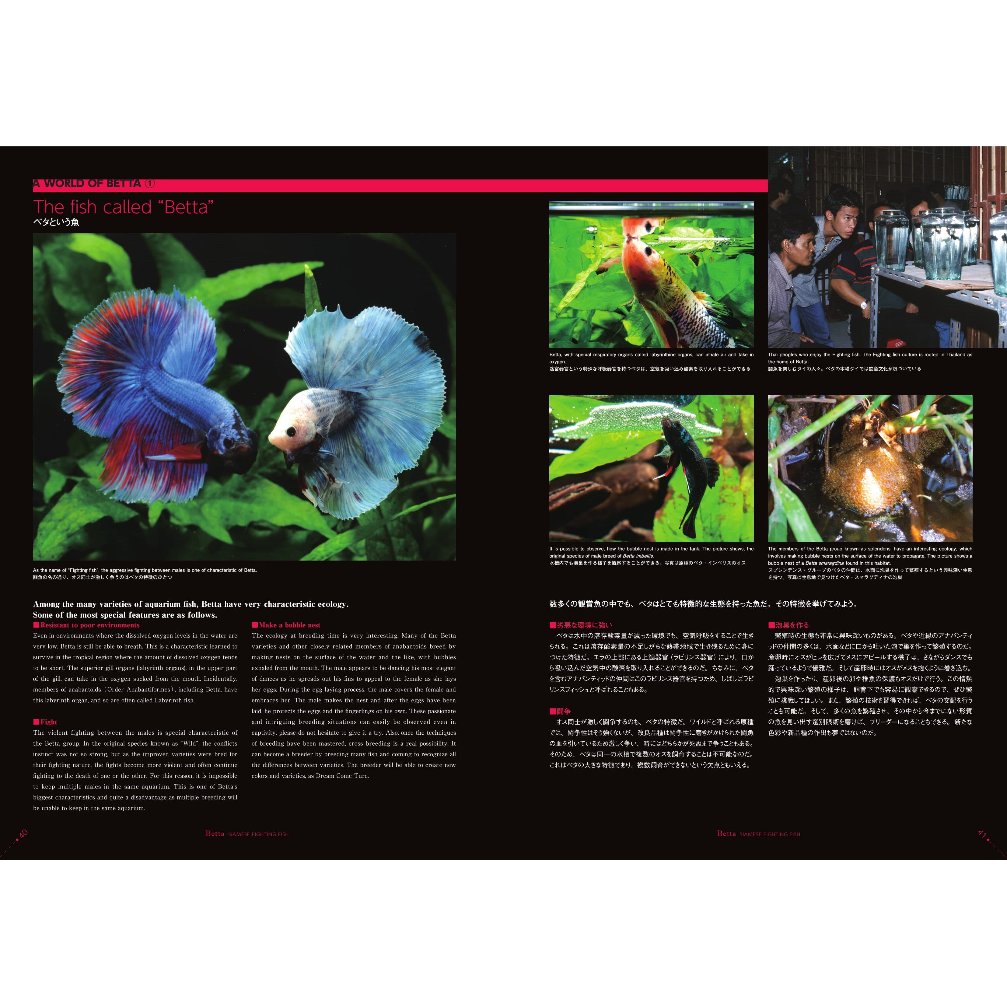 Betta Book | Betta Siamese Fighting fish Photograph Collection