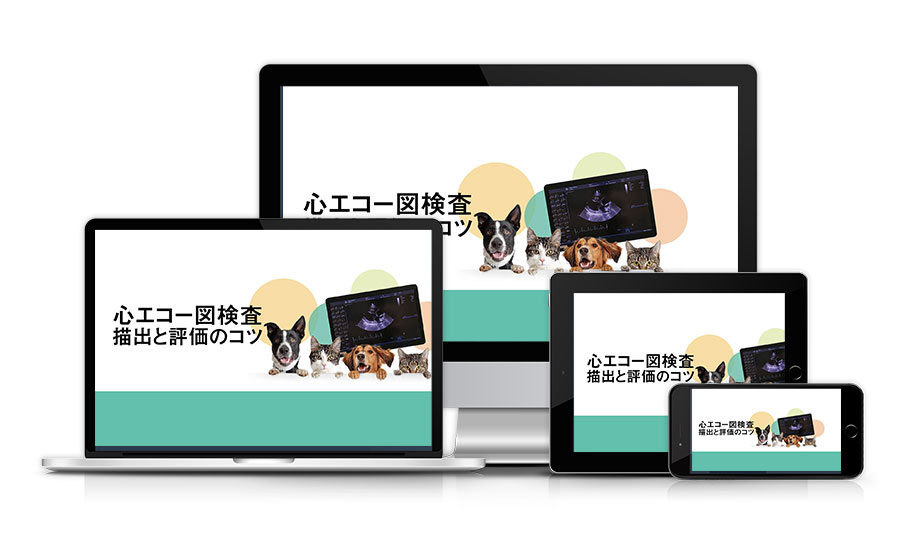 心エコー図検査 描出と評価のコツ | 医療情報研究所 DVD教材ストア