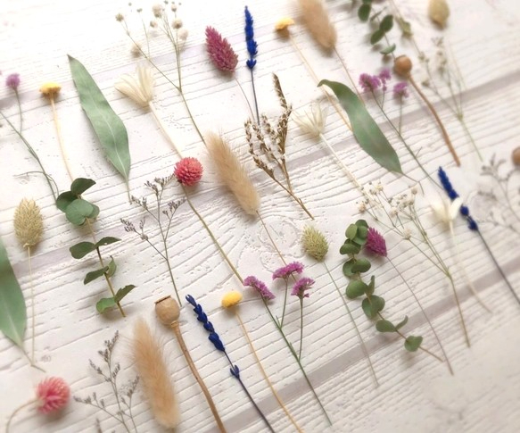簡単ドライフラワーの作り方4選。失敗しない方法をプロが伝授