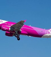 Peach Aviation Flights and Reviews (with photos) - Tripadvisor