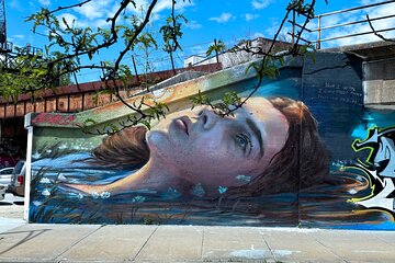 シカゴ：都市壁画、ストリートアート、グラフィティウォーキングツアー