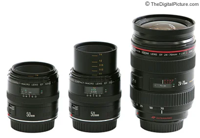 Canon EF 50mm f/2.5 Macro Lens Review
