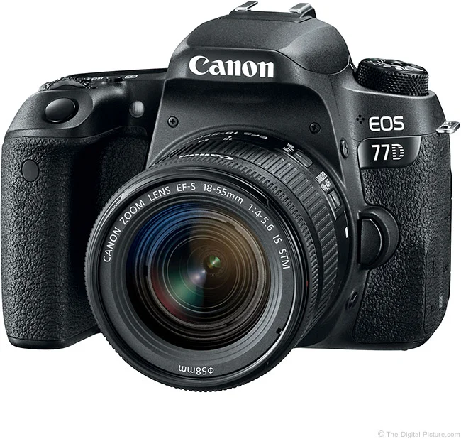 Canon EF-S 18-55mm f/4-5.6 IS STM Lens Review