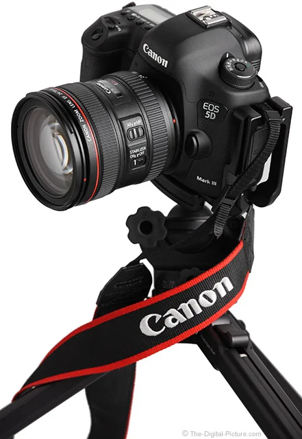 Canon EF 24-70mm f/4L IS USM Lens Review