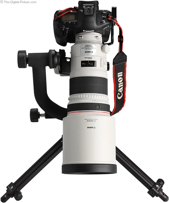 Canon EF 300mm f/2.8L IS II USM Lens Review