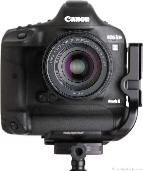 Canon EF 70-300mm f/4-5.6 IS II USM Lens Review