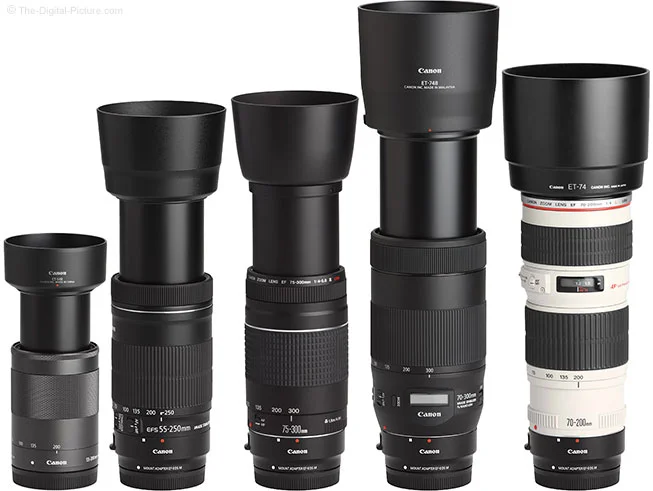 Canon EF-M 55-200mm f/4.5-6.3 IS STM Lens Review