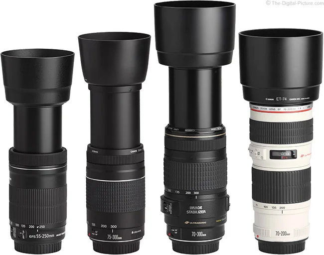 Canon EF-S 55-250mm f/4-5.6 IS STM Lens Review