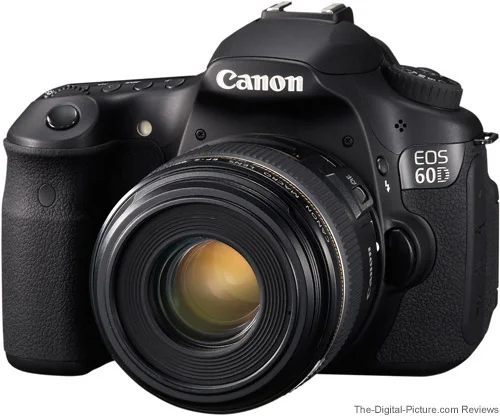 Canon EF-S 60mm f/2.8 Macro USM Lens Review