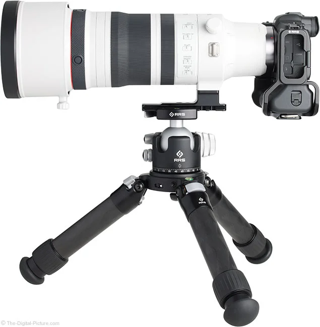 Canon RF 100-300mm F2.8 L IS USM Lens Review