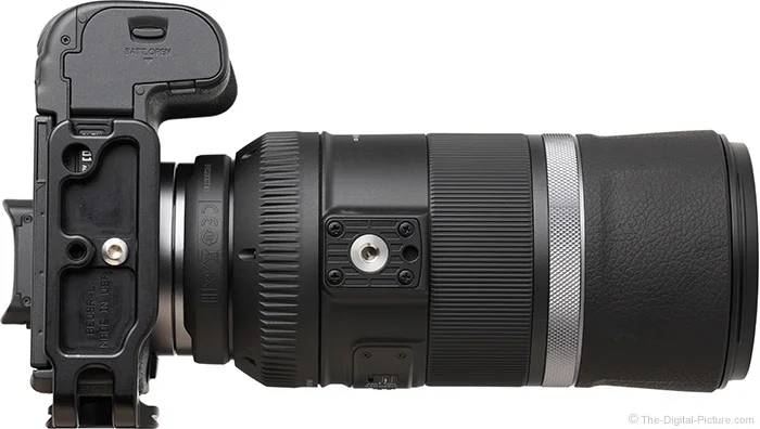 Canon RF 600mm F11 IS STM Lens Review
