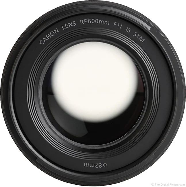 Canon RF 600mm F11 IS STM Lens Review