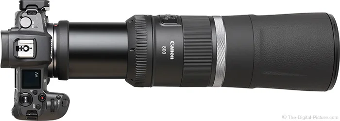Canon RF 800mm F11 IS STM Lens Review
