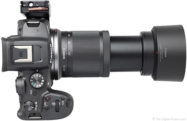 Canon RF-S 55-210mm F5-7.1 IS STM Lens Review