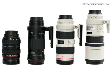Canon EF 300mm f/4L IS USM Lens Review