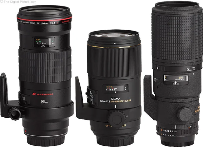 Sigma 150mm f/2.8 EX DG OS HSM Macro Lens Review