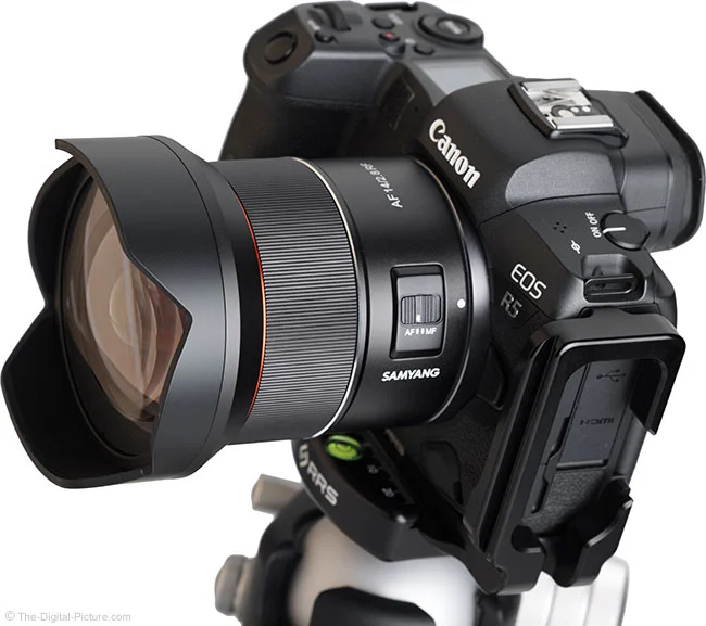 Rokinon (Samyang) AF 14mm F2.8 Lens for Canon RF, Sony E Review
