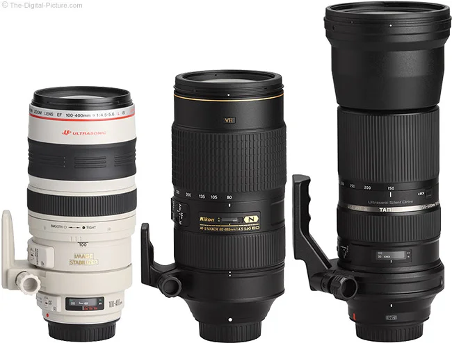 Tamron 150-600mm f/5-6.3 Di VC USD Lens Review
