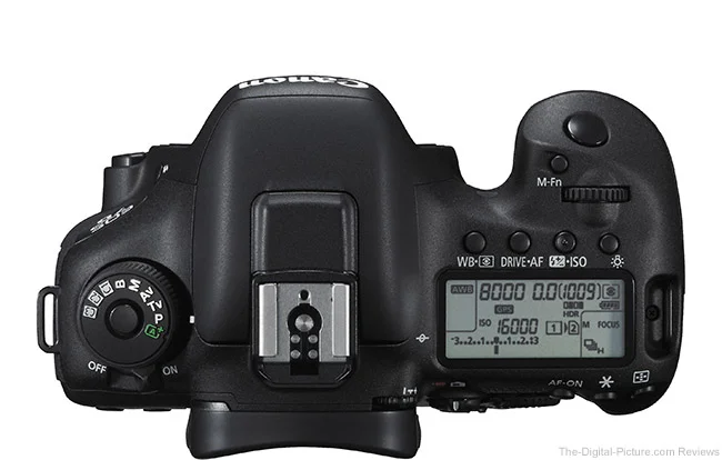 Canon EOS 7D Mark II Review