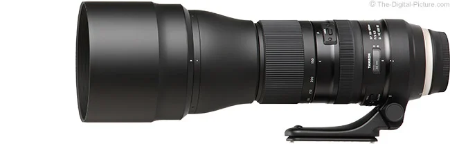 Tamron 150-600mm f/5-6.3 Di VC USD G2 Lens Review
