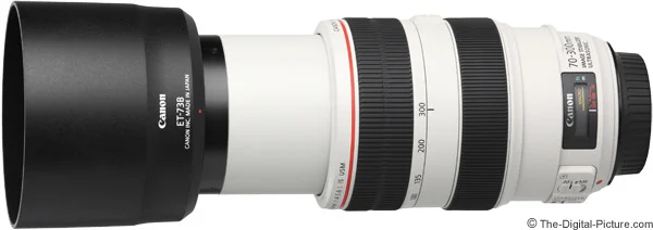 Canon EF 70-300mm f/4-5.6L IS USM Lens Review