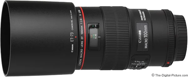 Canon EF 100mm f/2.8L IS USM Macro Lens Review