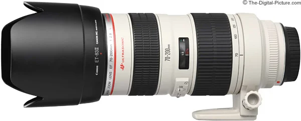 Canon EF 70-200mm f/2.8L USM Lens Review
