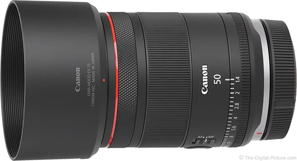 Canon RF 50mm F1.4 L VCM Lens Review