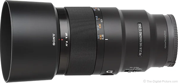 Sony FE 90mm F2.8 Macro G OSS Lens Review