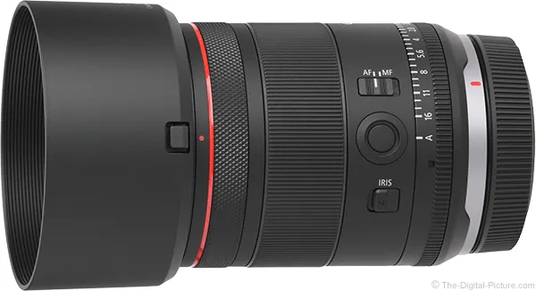 Canon RF 50mm F1.4 L VCM Lens Review