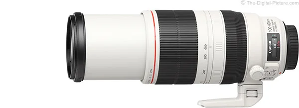Canon EF 100-400mm f/4.5-5.6L IS II USM Lens Review
