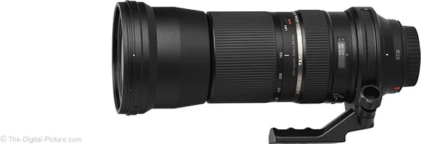 Tamron 150-600mm f/5-6.3 Di VC USD Lens Review