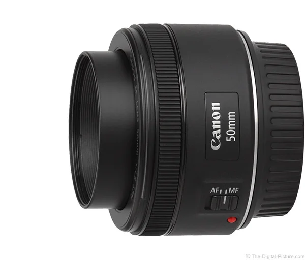 Canon EF 50mm f/1.8 STM Lens Review