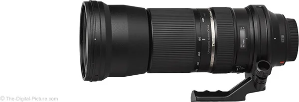 Tamron 150-600mm f/5-6.3 Di VC USD Lens Review