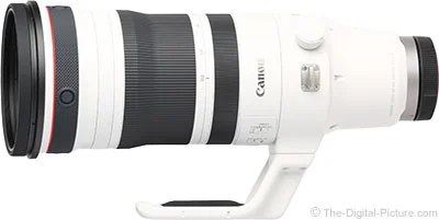 Canon RF 100-300mm F2.8 L IS USM Lens Review