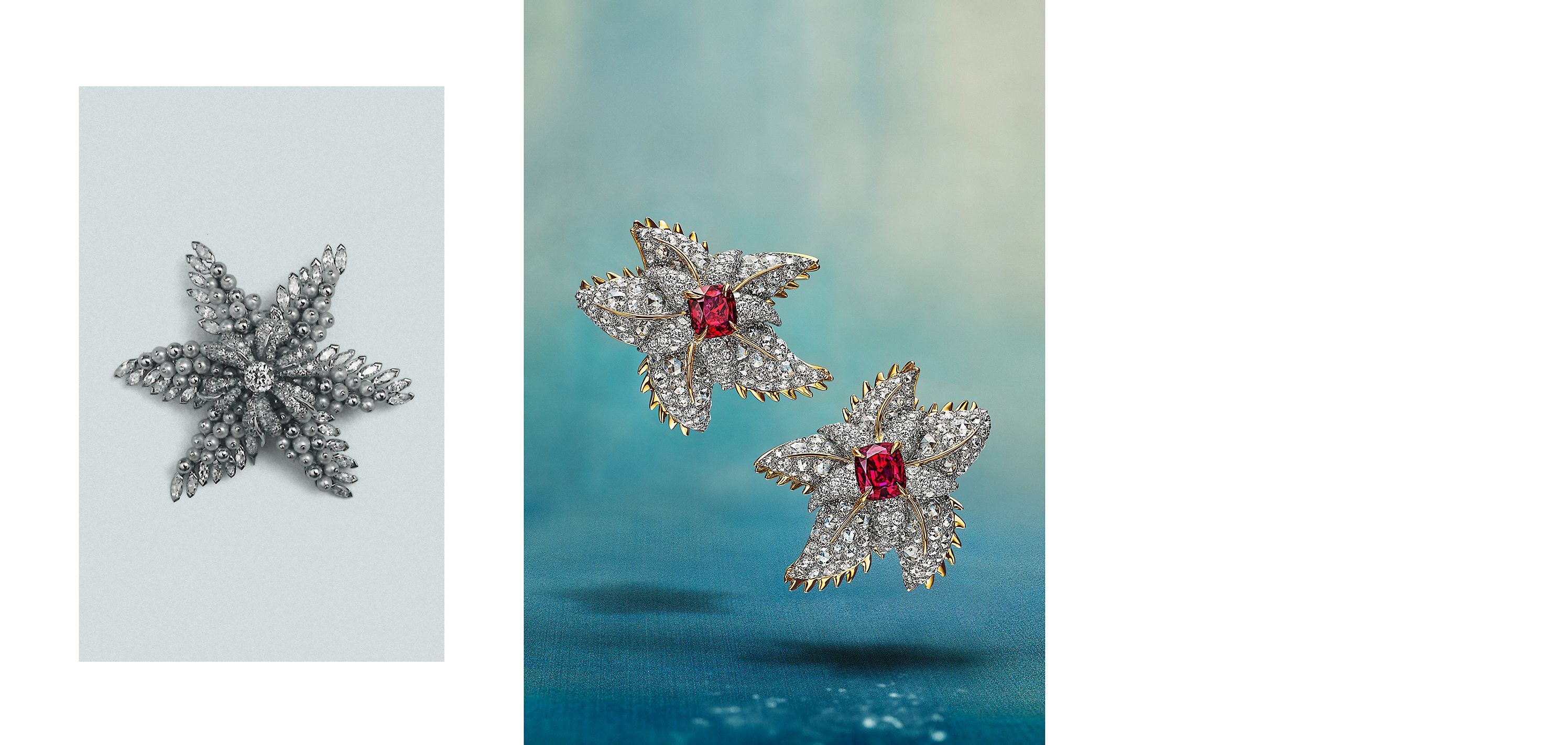 スターフィッシュ シリーズ—2025 ハイジュエリー コレクション