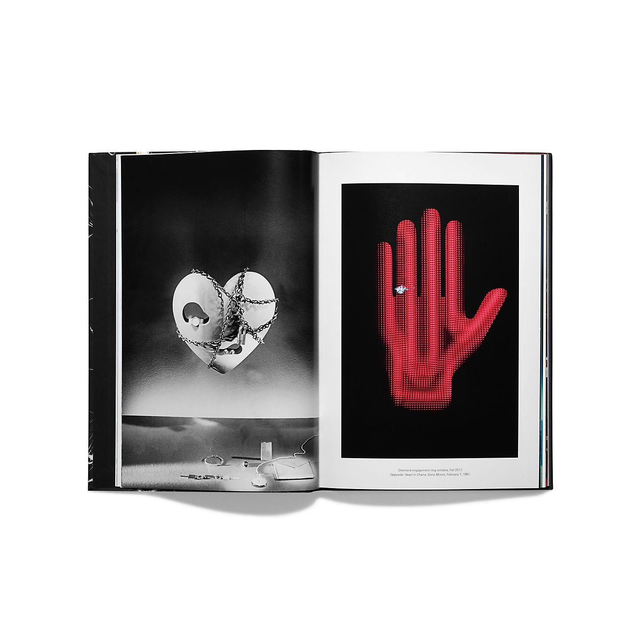 Windows at Tiffany & Co. 書籍 | Tiffany & Co.