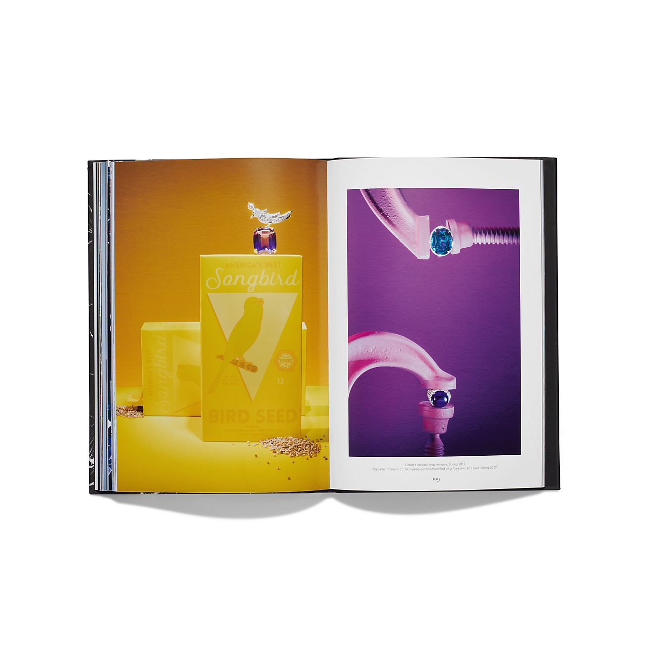 Windows at Tiffany & Co. 書籍 | Tiffany & Co.