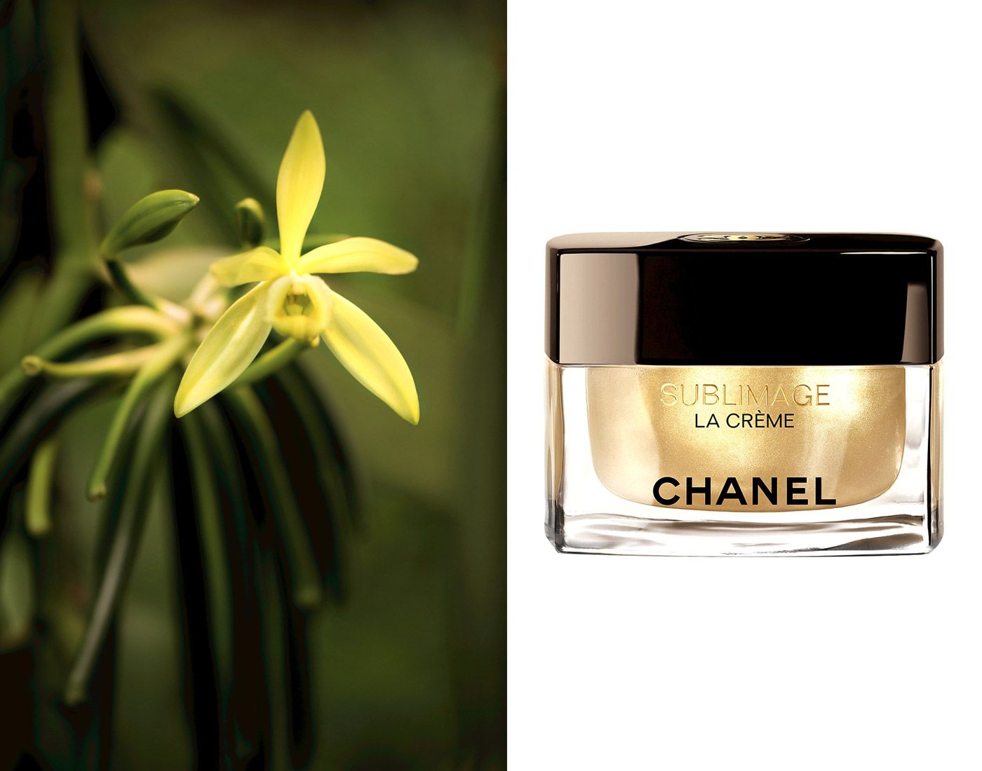 Sublime Extract with Chanel's Sublimage Creams | Vanity Fair