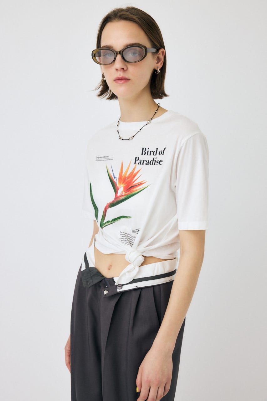 MOUSSY | ASYMMETRY フラワー TEE (Tシャツ・カットソー(半袖) ) |SHEL