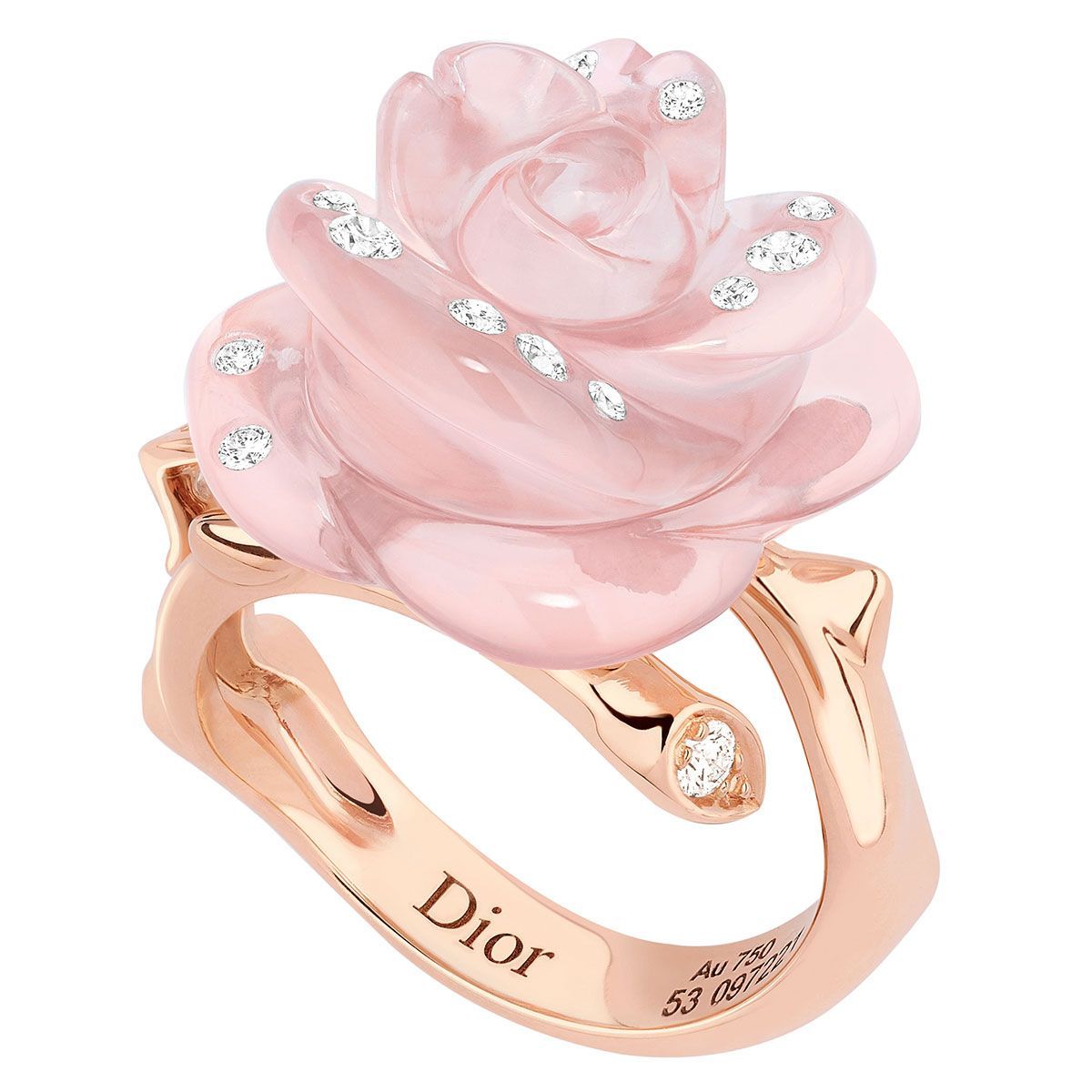 メゾン創業70周年記念！「ローズ ディオール プレ カトラン」の限定