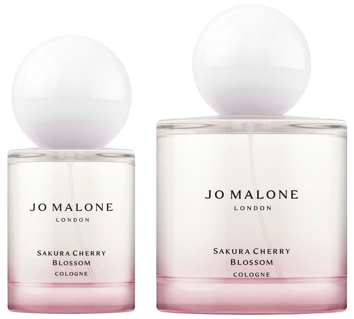 ジョー マローン ロンドンの春の訪れを告げる限定の香り「サクラ