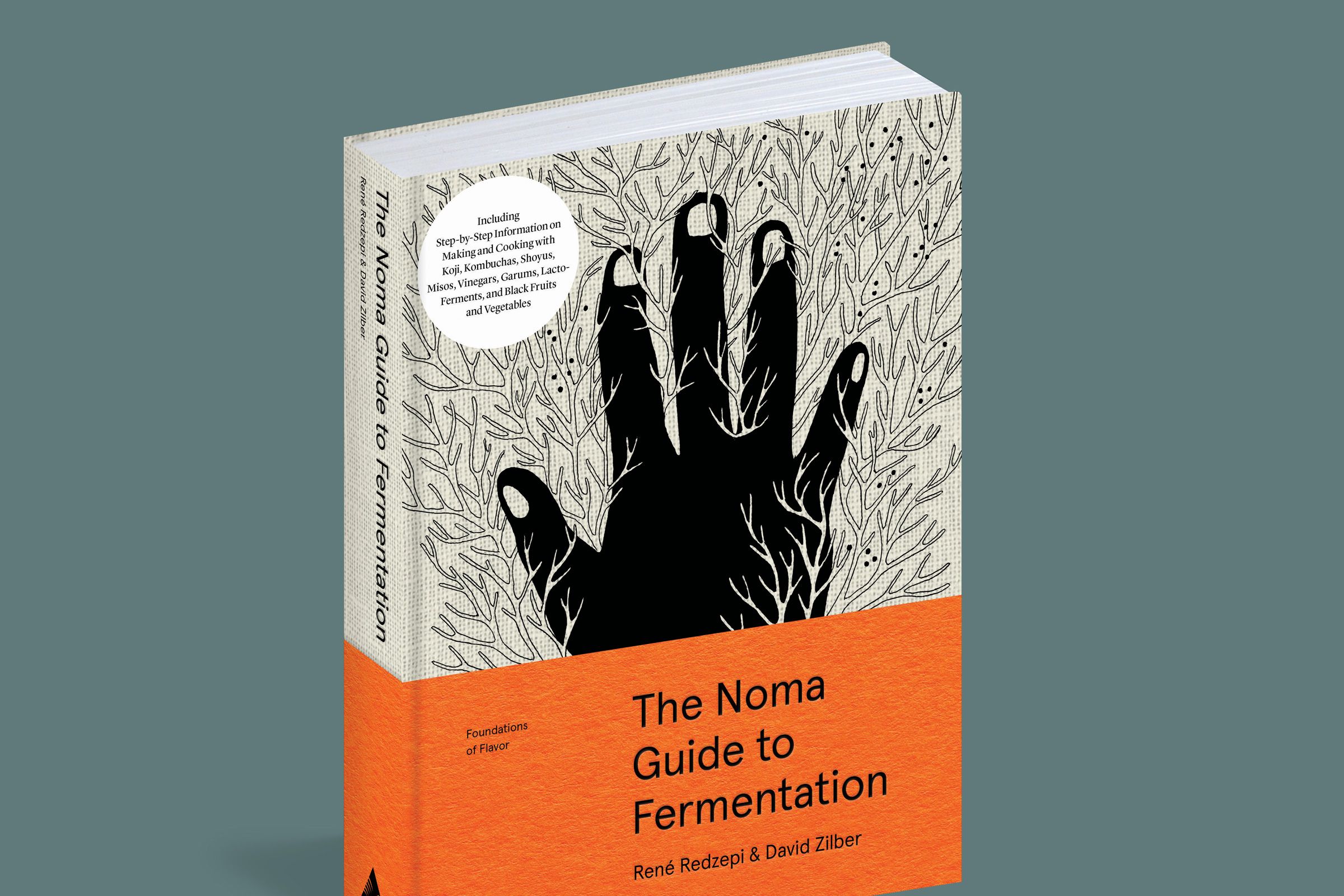 The Noma Guide to Fermentation: A Cure for Kitchen Boredom | WIRED