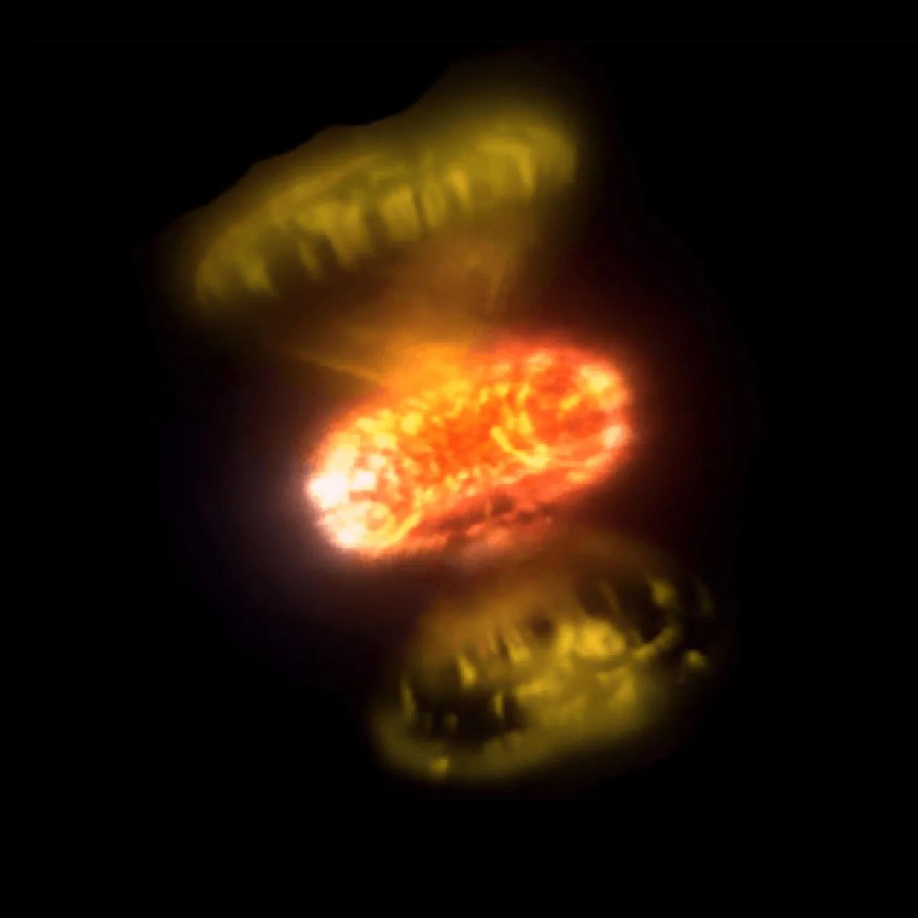 恒星が爆発する“瞬間”の撮影に成功、夜空に輝く新星の真の姿 | WIRED.jp