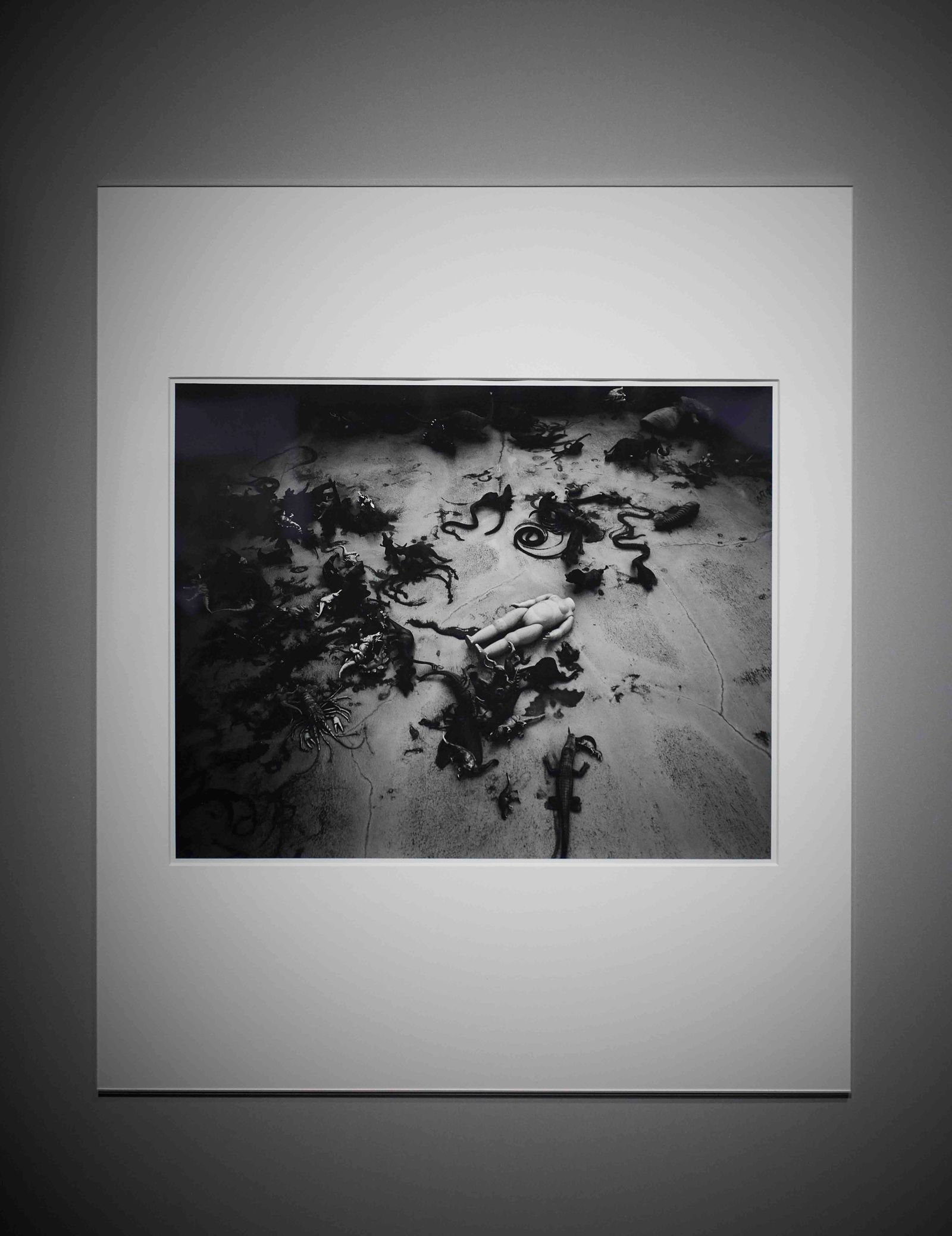 荒木経惟の個展「東京墓情」 写真家人生を振り返る新作が公開 - WWDJAPAN