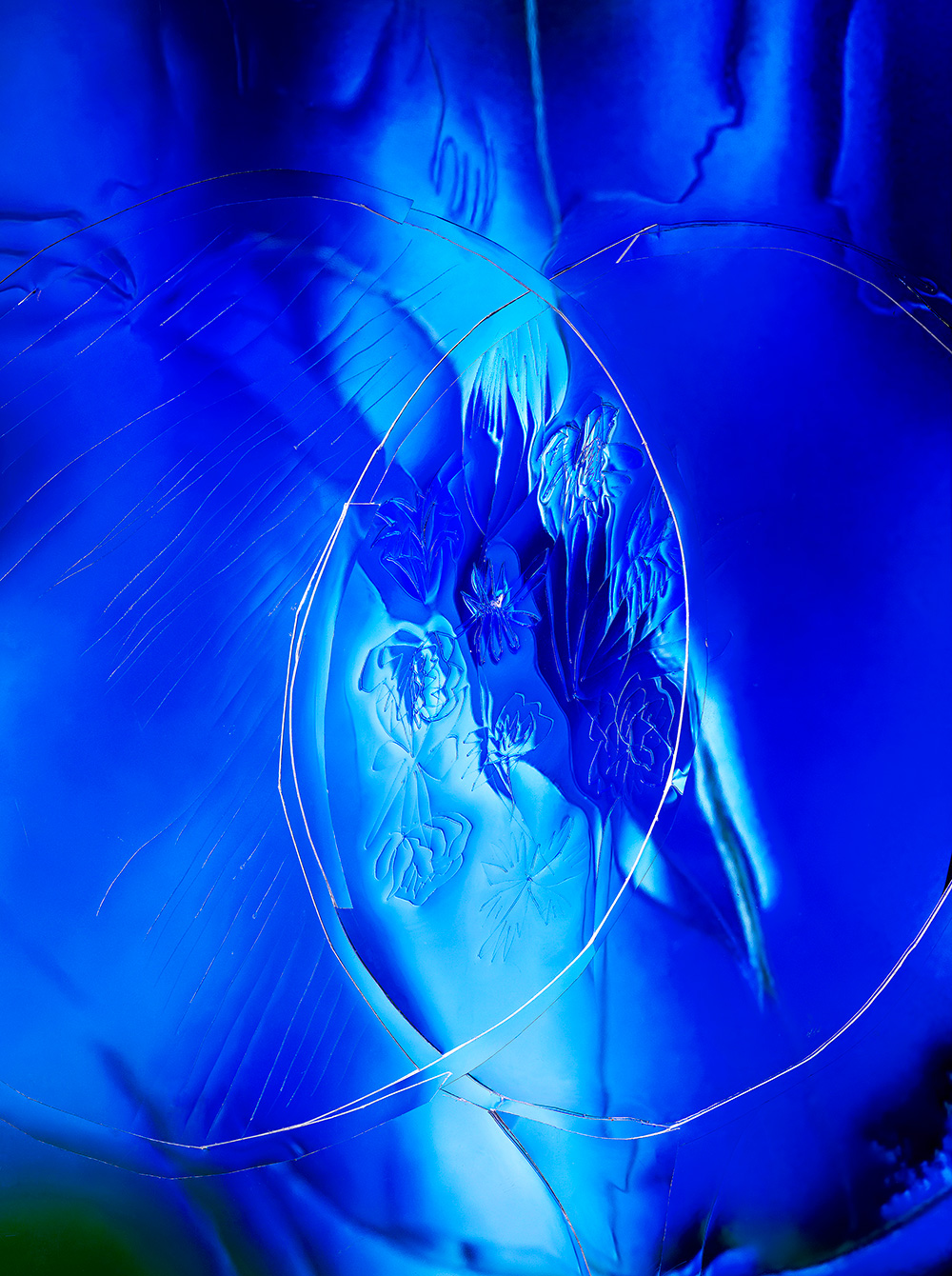 ラ・プレリー」を代表する名作「スキンキャビアコレクション」の到達点