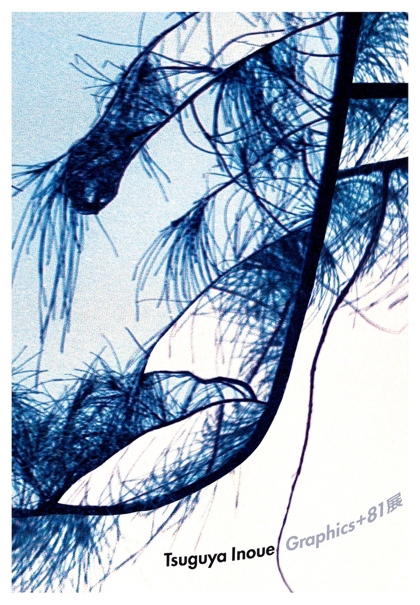 コム デ ギャルソン」の広告などを手掛けたアートディレクター井上嗣也