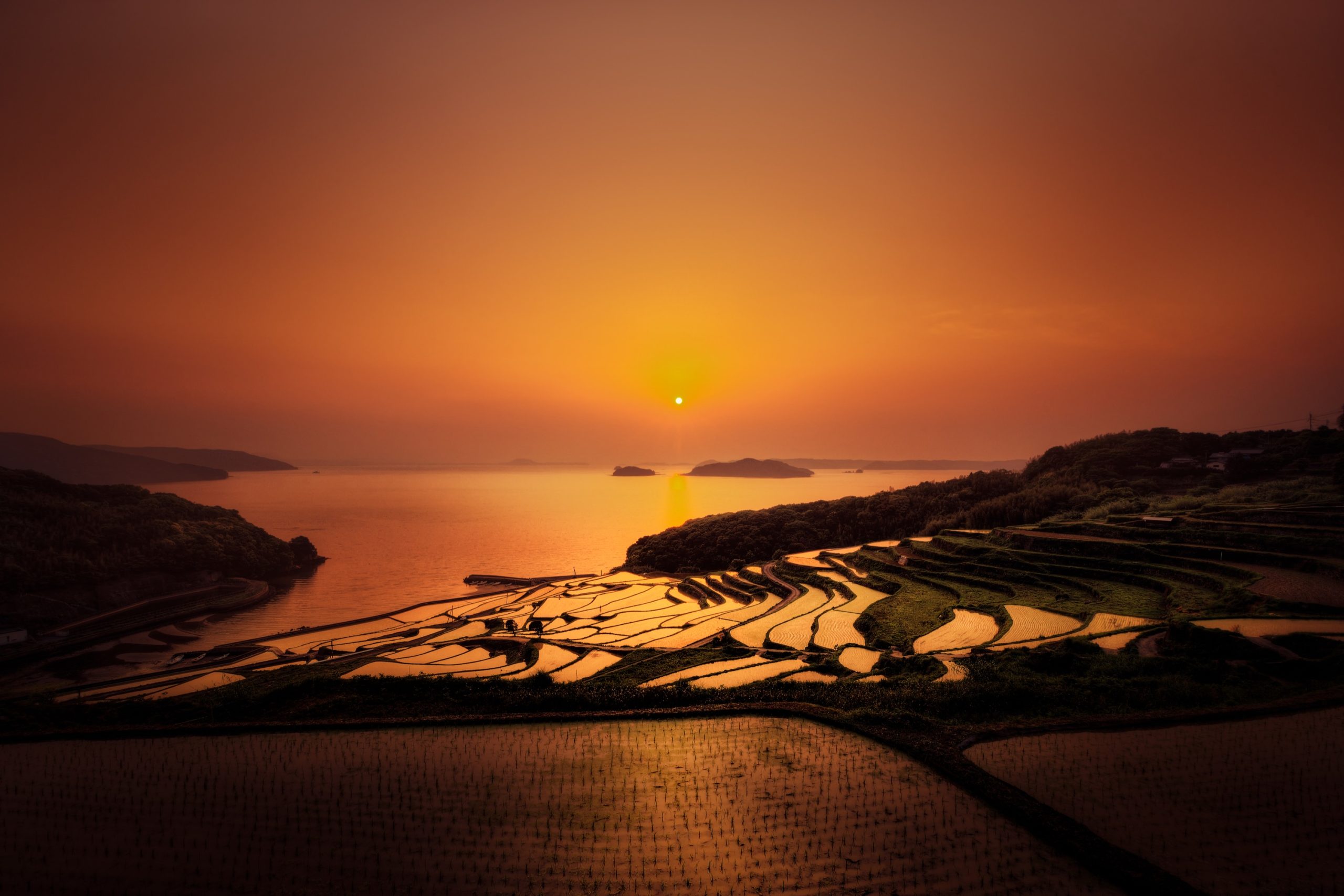 Canon EF 16-35mm f2.8L II USM Sample Photos and Review | Alik Griffin